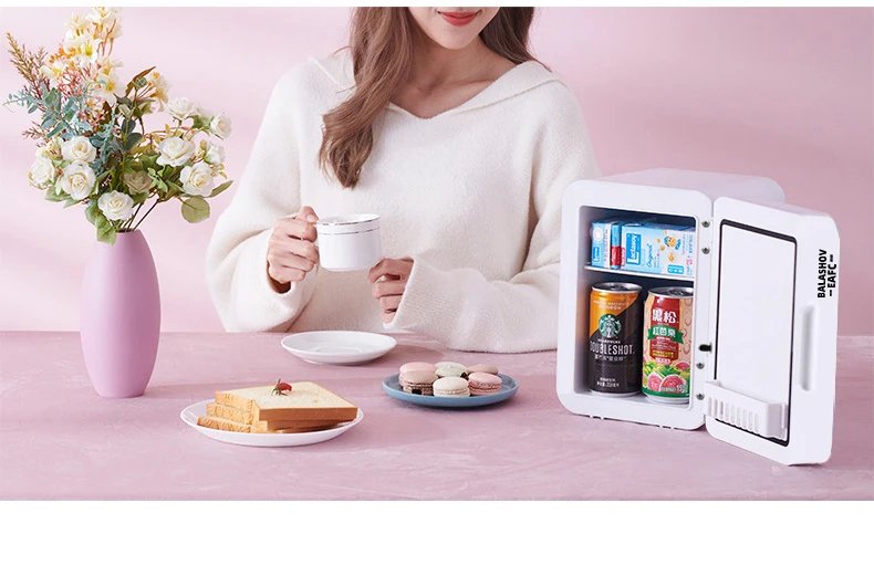 Mini refrigerador de maquillaje de 4L con espejo de luz LED, refrigerador portátil de almacenamiento de cosméticos, refrigerador fresco para el hogar y el coche de doble uso Mini refrigerador de maquillaje de 4L con espejo de luz LED, refrigerador portátil de almacenamiento de cosméticos, refrigerador fresco para el hogar y el coche de doble uso